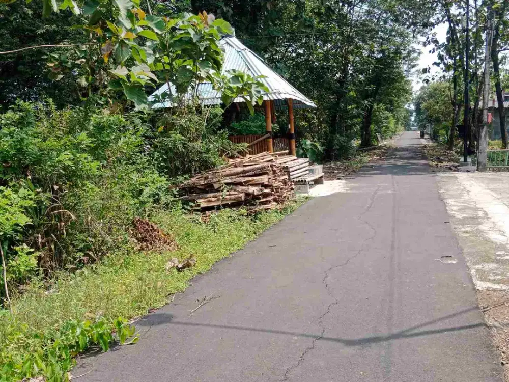pekarangan 1 150m² muka 30m jalan 5m , 1/2 km dari jalan Raya propinsi kenokorejo polokarto