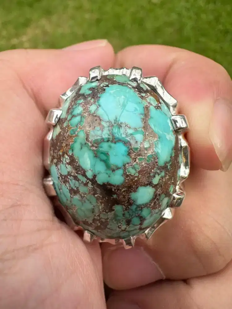 Pirus Persia Neyshabur