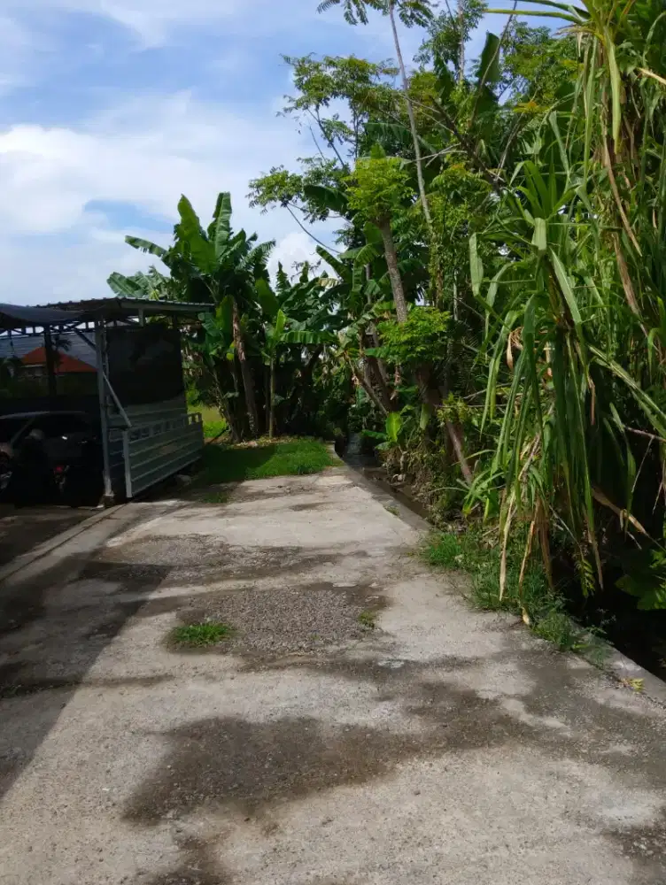 Di jual tanah jalan Kwanji , Sempidi , Badung , Bali