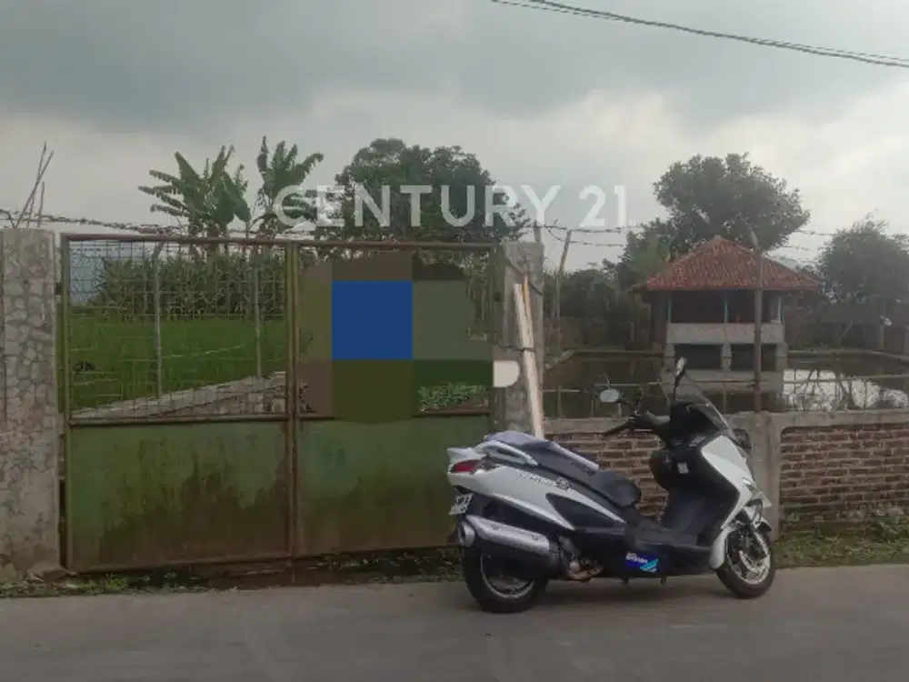 Tanah Basah Di Lebak Muncang ,Ciwidey ,jawabarat