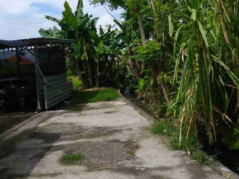 Di jual tanah jalan Kwanji , Sempidi, Badung , Bali