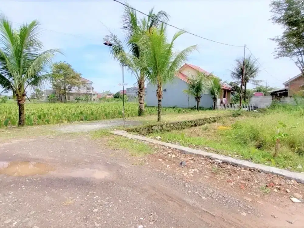Dijual Kavling 2 Juta-an, 7 Menit ke IPB Dramaga