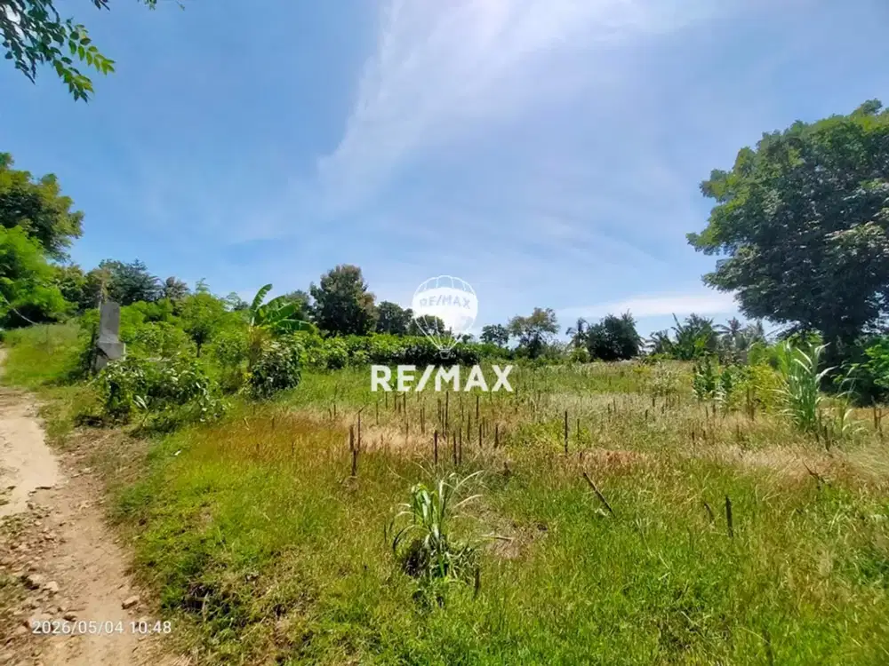 DIJUAL Tanah Strategis Zona Industri,Wongsorejo- Banyuwangi
