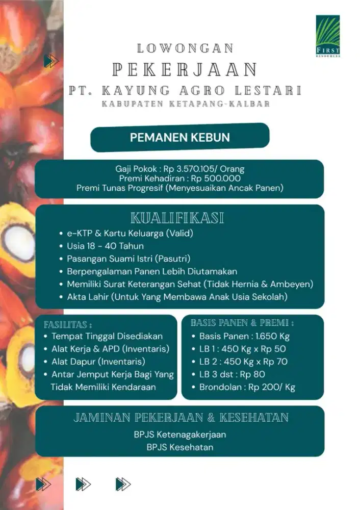 Di butuhkan tenaga pemanaen buah kelapa sawit untuk  pasutri
