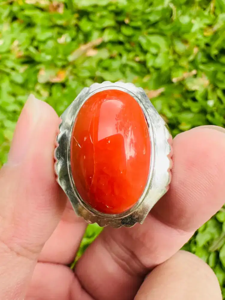 Batu Marjan Red Coral Moonga