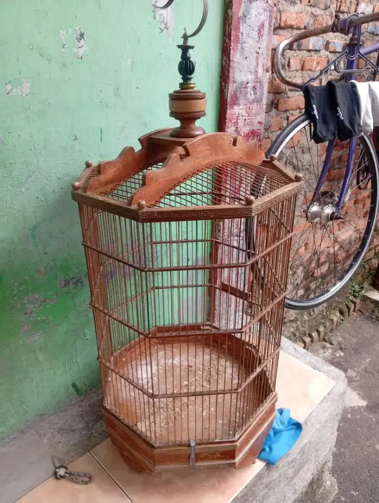 Kandang segi 8 bahan Dr Katy jati products solo