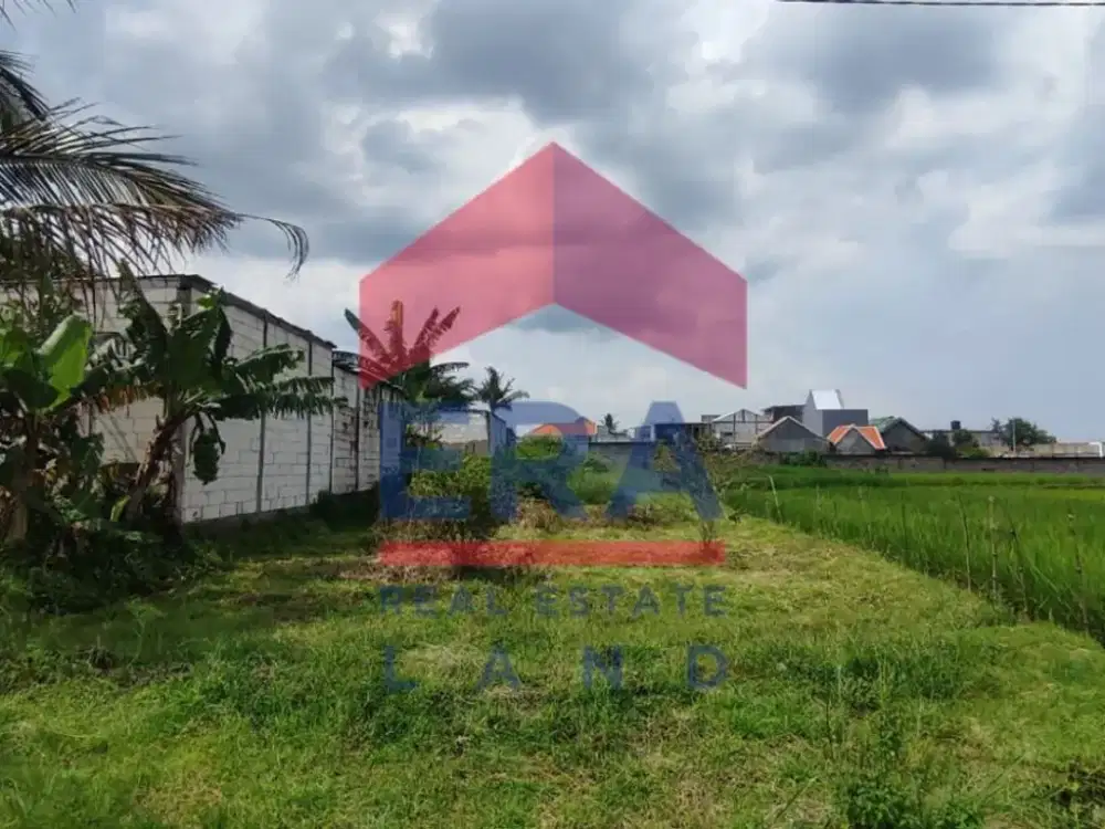 Dijual Tanah di Jalan Pendem Batu