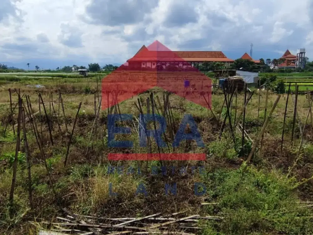 Dijual Tanah di Jalan Pendem Batu