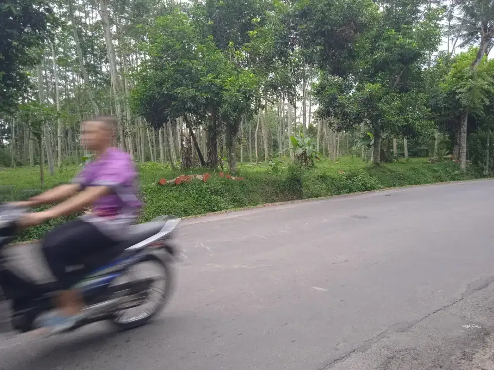 Di jual sebidang tanah kering( tegalan )