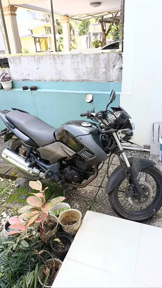Tiger 2007 standar