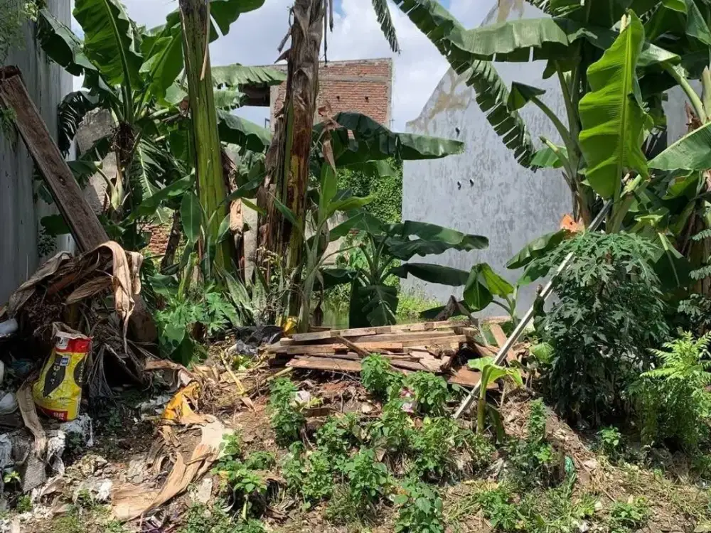 3,7 Jutaan/m2 !! Jual Tanah Kavling Lebar 9 Medayu Utara Rungkut
