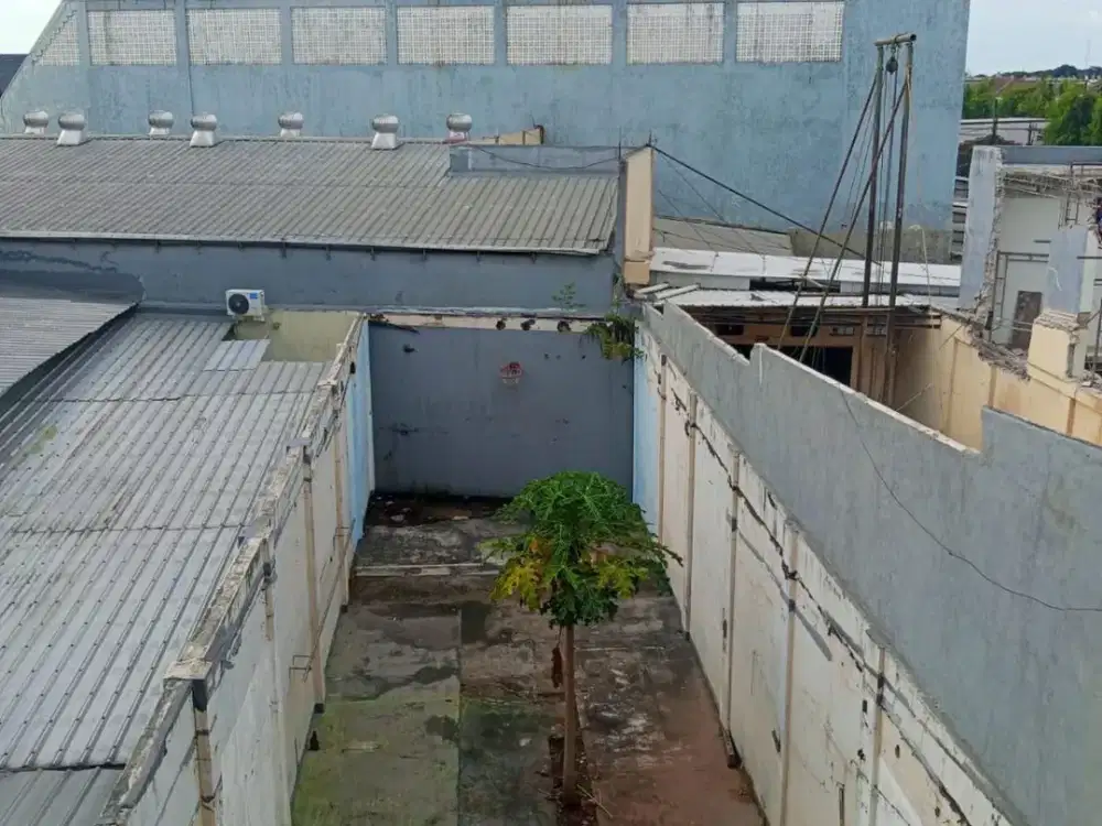 Dijual Ruko Asia Tropis – Unit Langka dengan Kelebihan Tanah