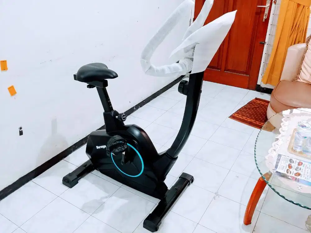 Berwyn Sepeda Statis Magnetic Exercise Bike