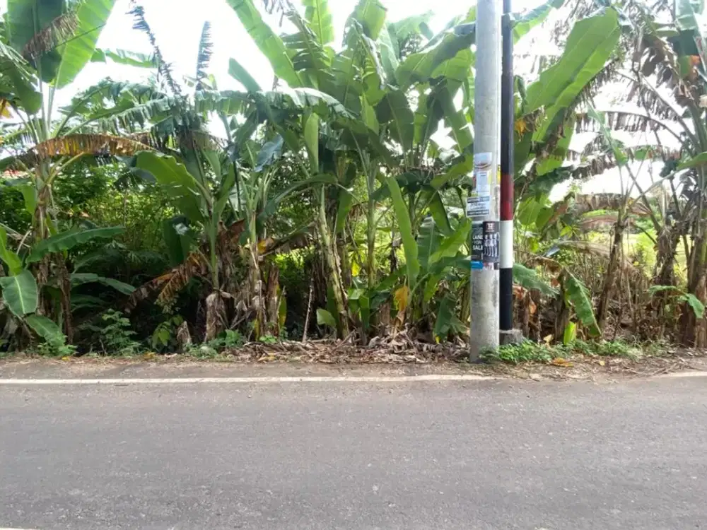 DIJUAL TANAH PARIWISATA KARANG PANDAWA – KUTUH, NUSA DUA DEKAT PANTAI