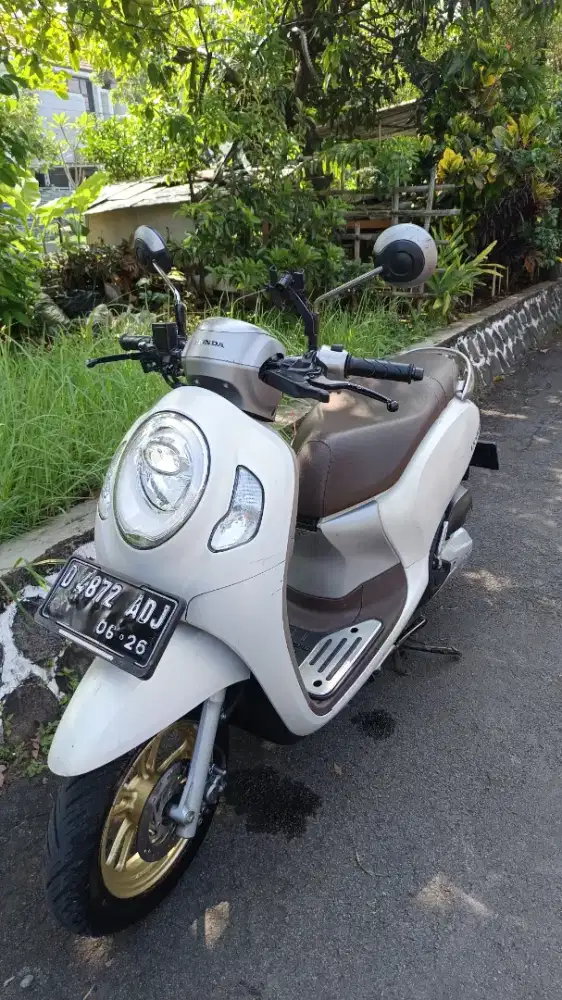 Dijual Cepat Motor Scoopy Prestige White second (nego santai)