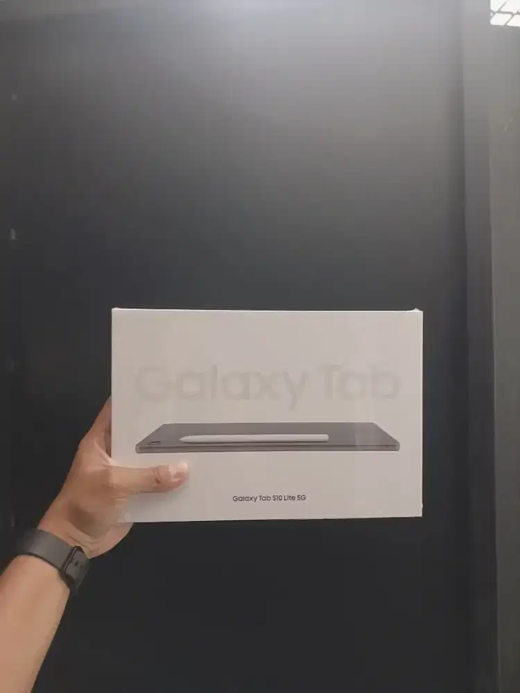 GALAXY TAB S10 LITE 5G 6/128GB. INCLUDE S PEN, ADAPTOR 25W, SPEAKER