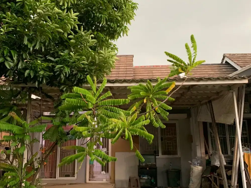 Rumah 15 Menit ke RS Hermina Serpong SHM Dibantu KPR J-48574