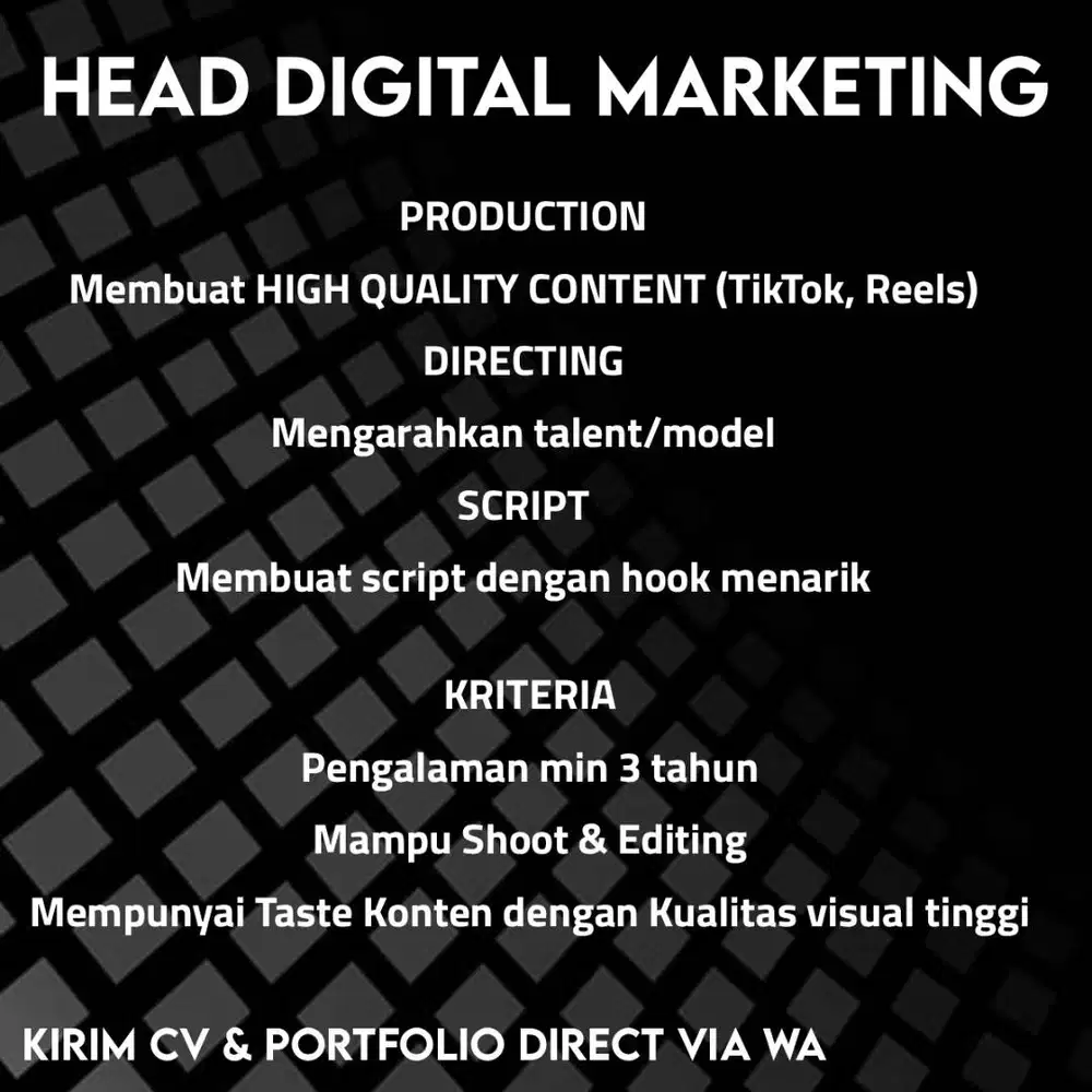 Lowongan Kerja Head Digital Marketing / Profesional Content Creator