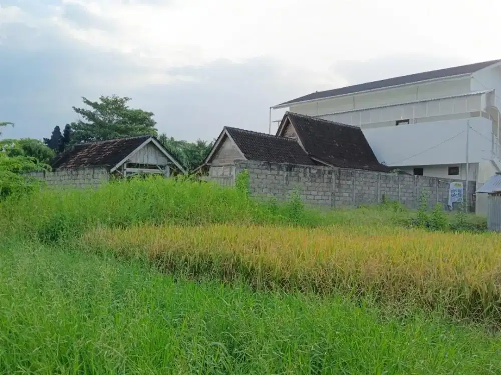 Land 12 Are For Leasehold 25 Years, In Munggu, Badung Area