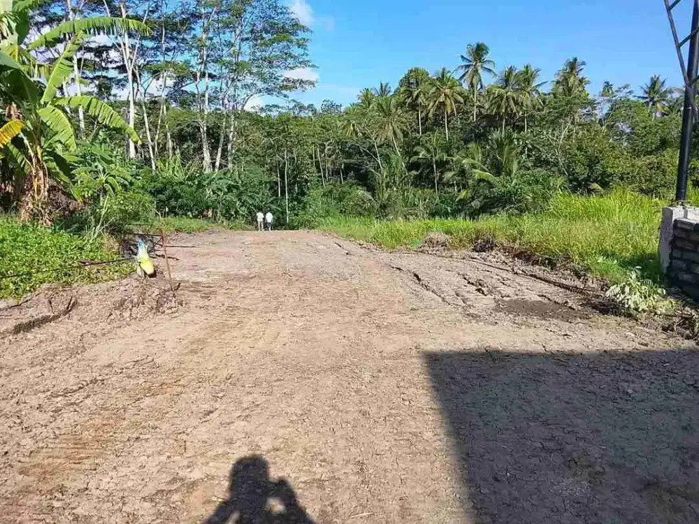 dijual tanah 20are di mengwi badung bali