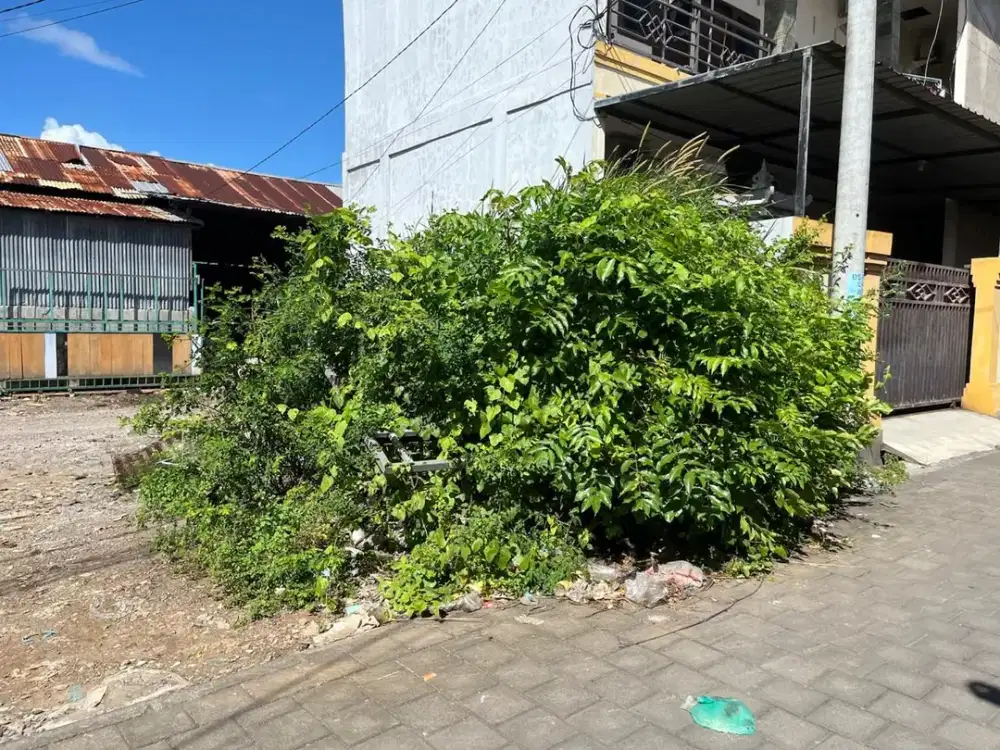 JUAL TANAH PUSAT KOTA RENON