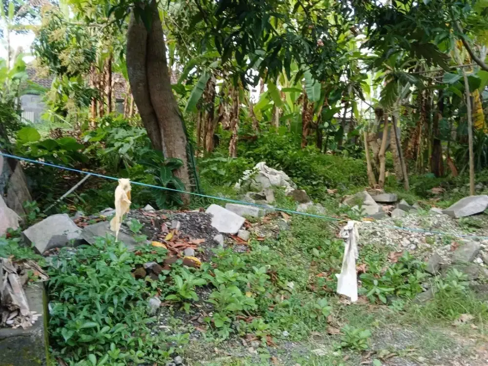 Tanah 4,5 Are For Leasehold 25 Years, In Pererenan, Badung Area