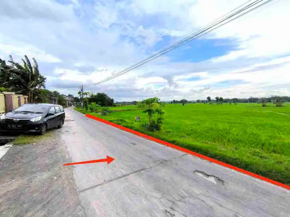 Tanah Luas Pekarangan Cocok untuk Perumahan atau R. Usaha Akses Jalan Utama