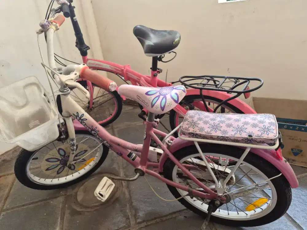 Sepeda Wimcycle anak
