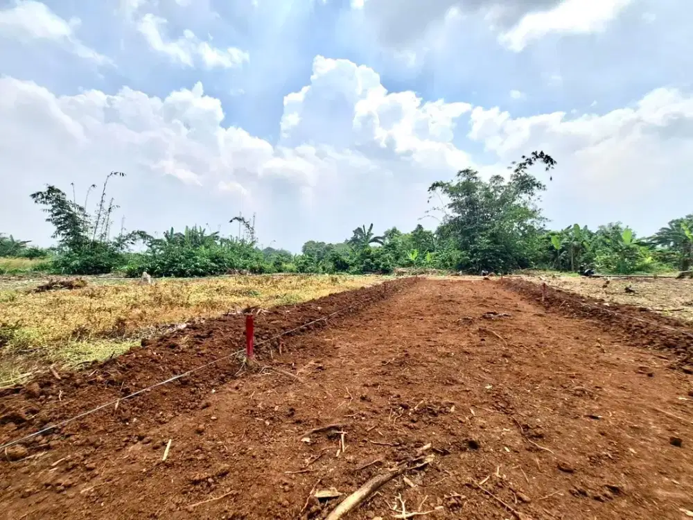 Tanah Cisauk Dekat BSD - 11 Menit Stasiun Jatake Harga Murah