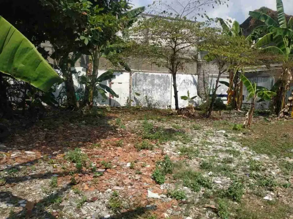 tanah pasadena cengkareng timur