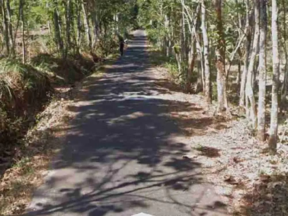 Tanah Murah 10ha di Kendal Ngawi