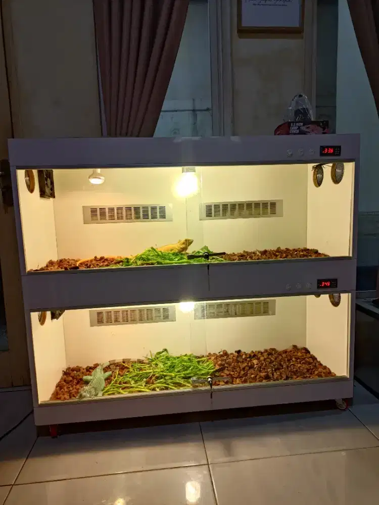 Di jual Terarium dua tingkat, ukuran 120x40x100
