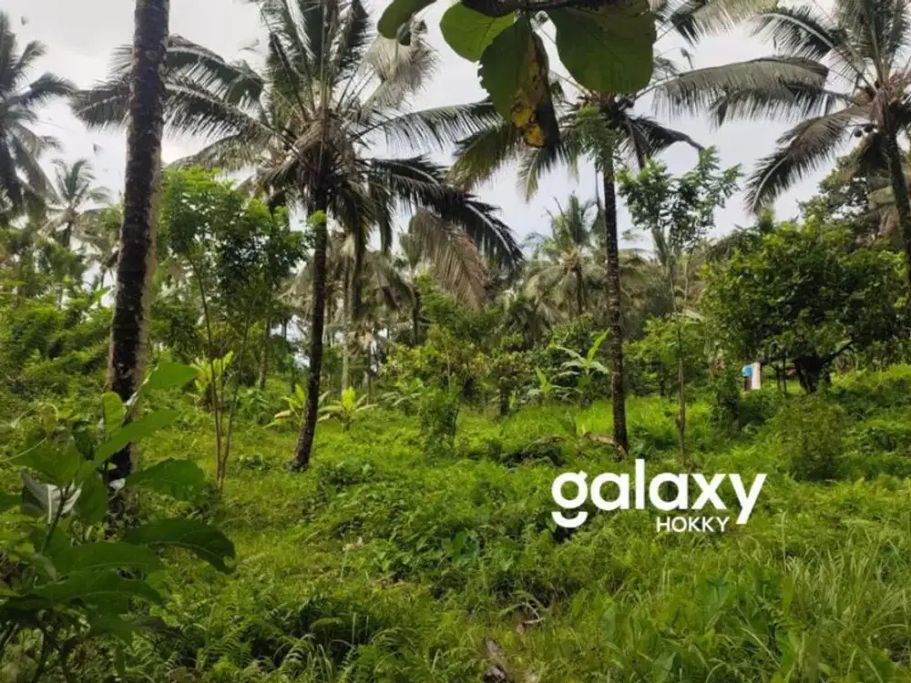 DIJUAL TANAH VIEW AIR TERJUN DEPAN GALALIMA GLAMPING SELEMADEG TABANAN