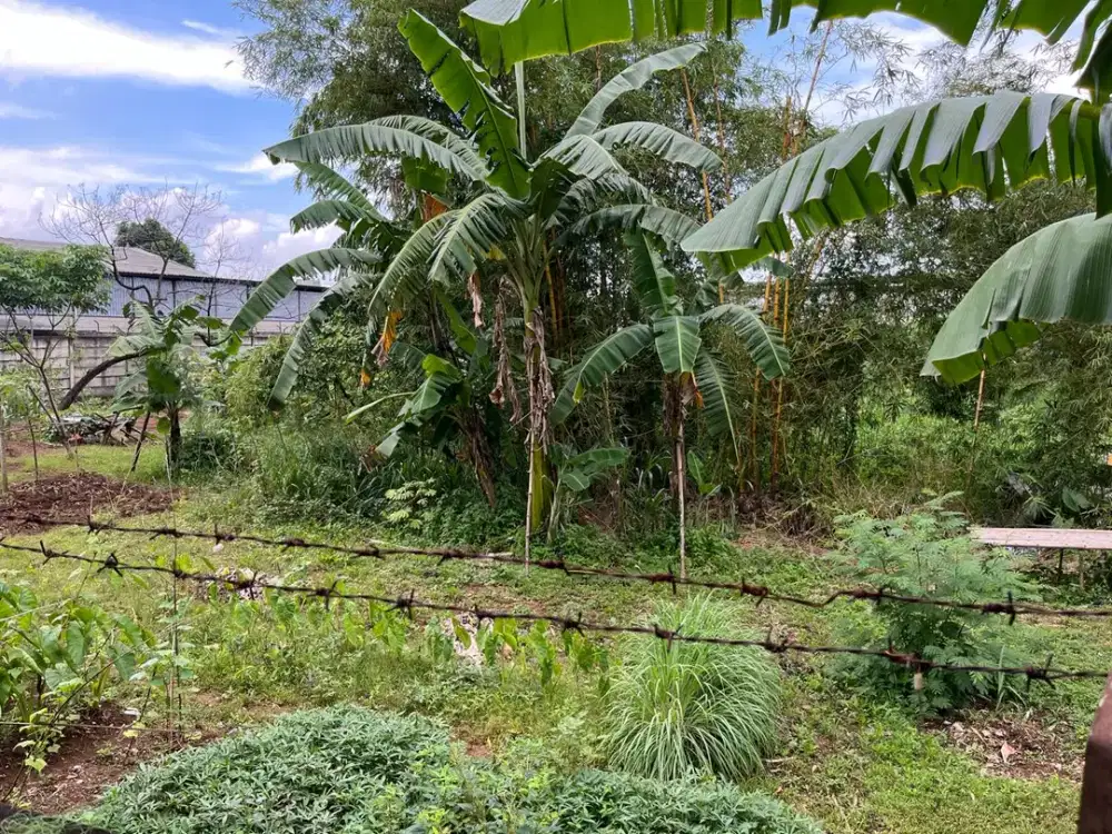Dijual Cepat Tanah Beserta Gedung Lokasi Strategis Di Gunung Putri Bogor