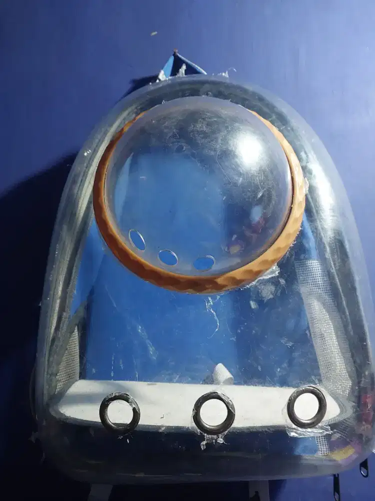 Tas Astronot Kucing