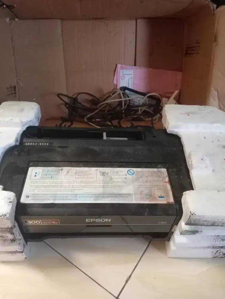 Printer Epson L300
