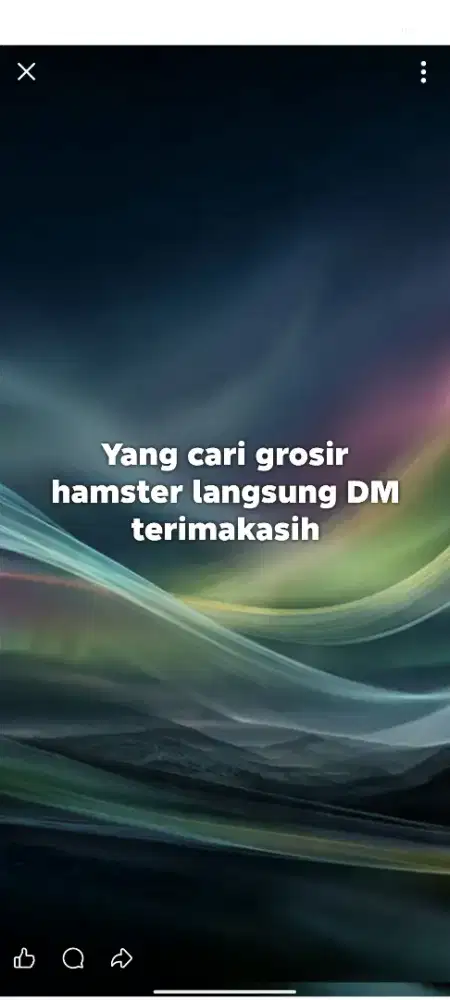 Grosir atau eceran hamster