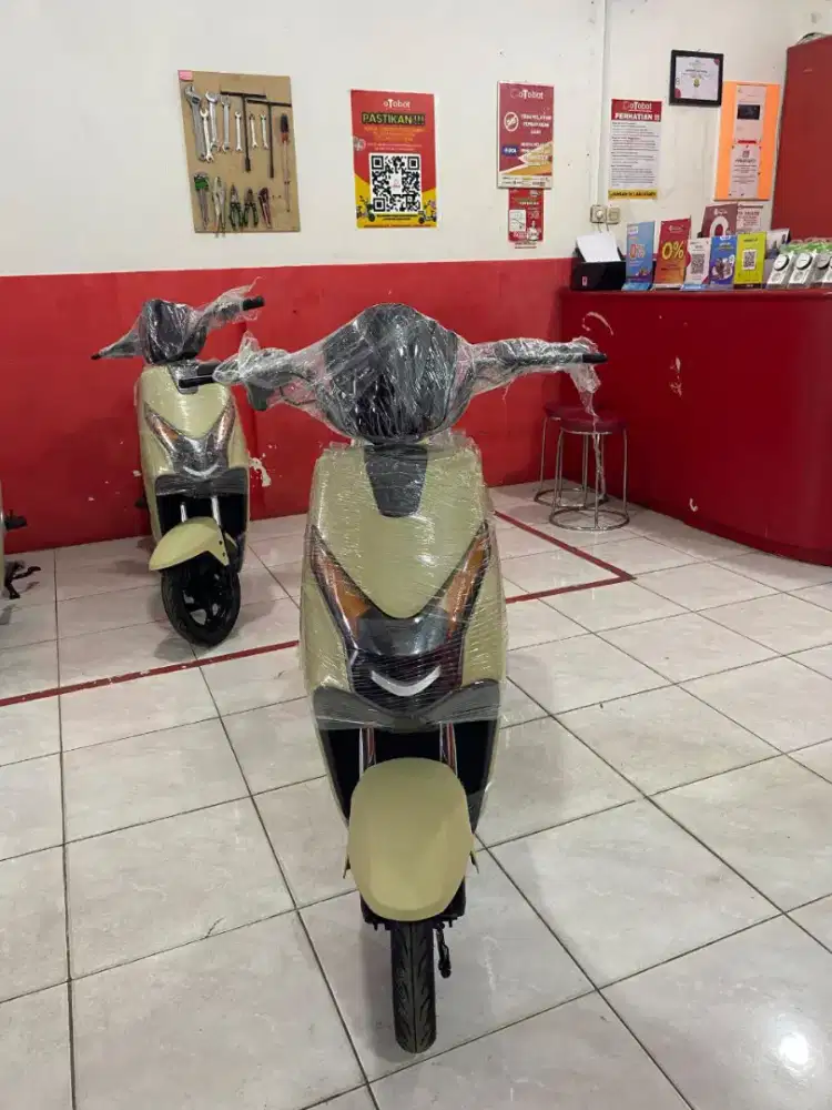 Sepeda Listrik D60