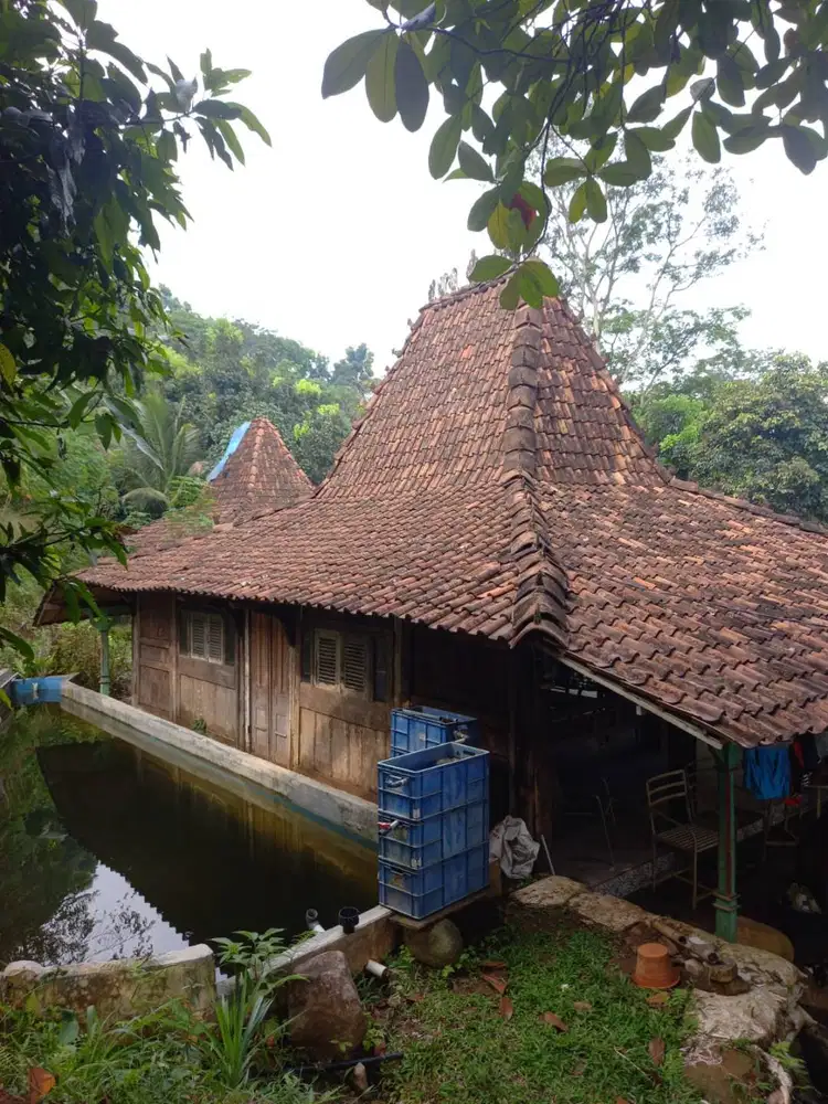 Dijual Rumah Villa Bogor Barat Luas Asri View Cantik Jawa Barat