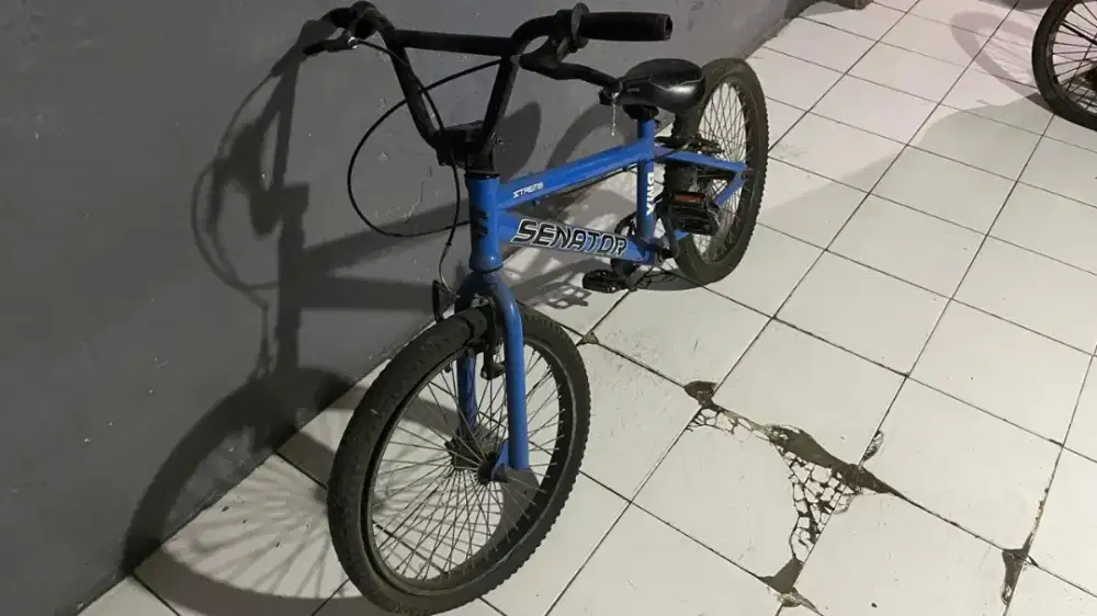 Sepeda senator 20 inci