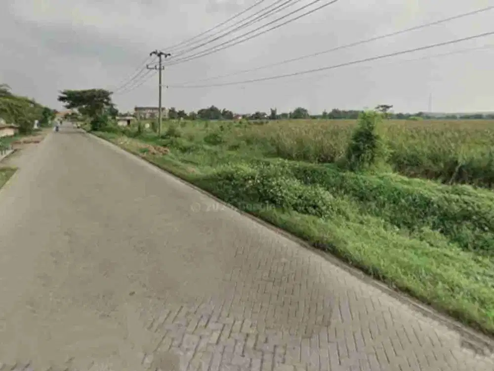 Tanah di Wringinanom Gresik