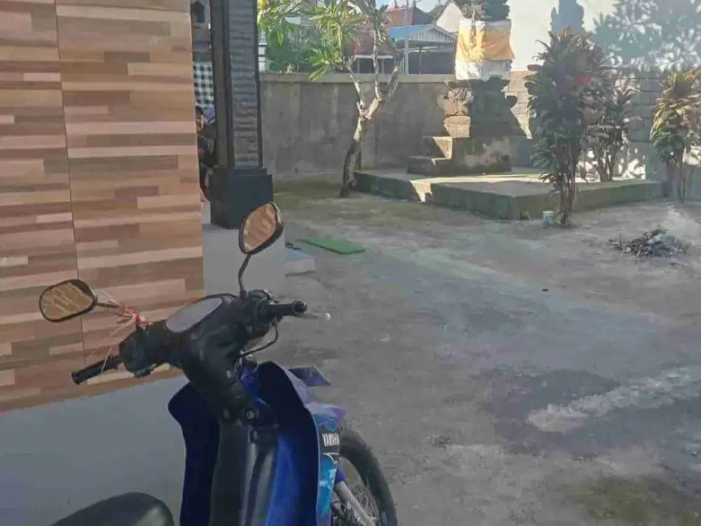 disewakan rumah minimalis nyaman dan asri