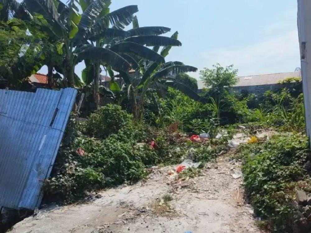 Tanah Siap Bangun, Lebak Arum Kenjeran Hadap Selatan Row 6 Meter