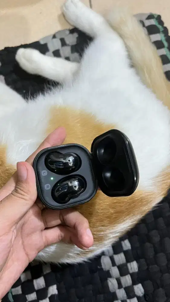 Samsung galaxy buds live