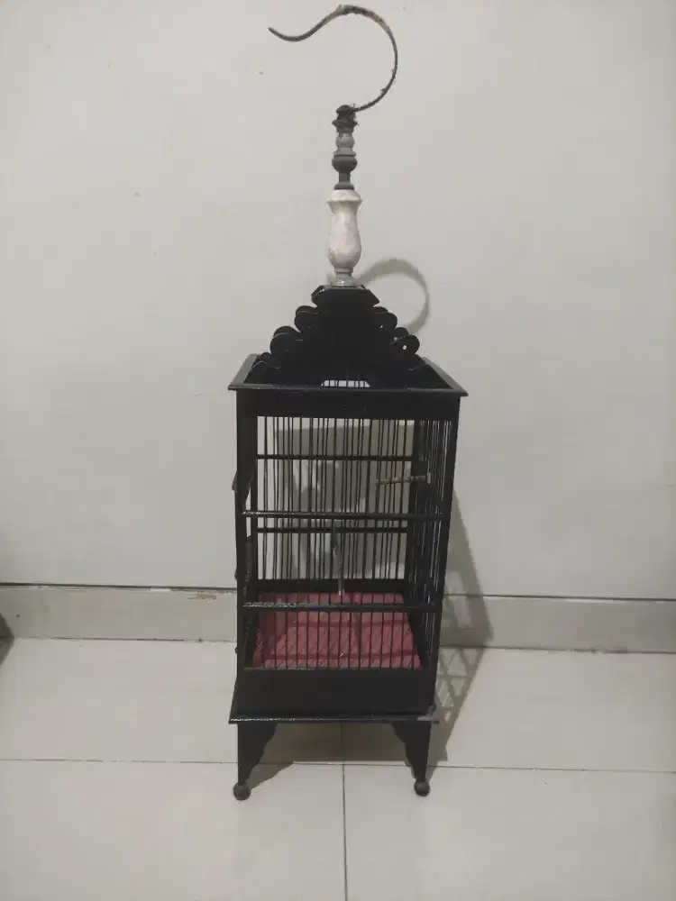 Sangkar Burung Kotak kecil