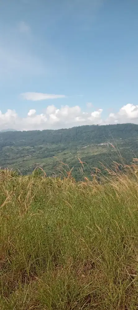 lahan tanah/Viu dapat