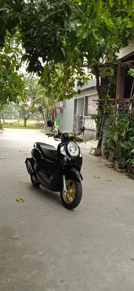 jual honda scoopy prestige