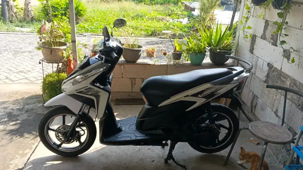 vario techno 2011