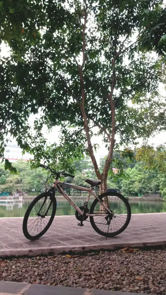 Senator MTB - Siap Gowes
