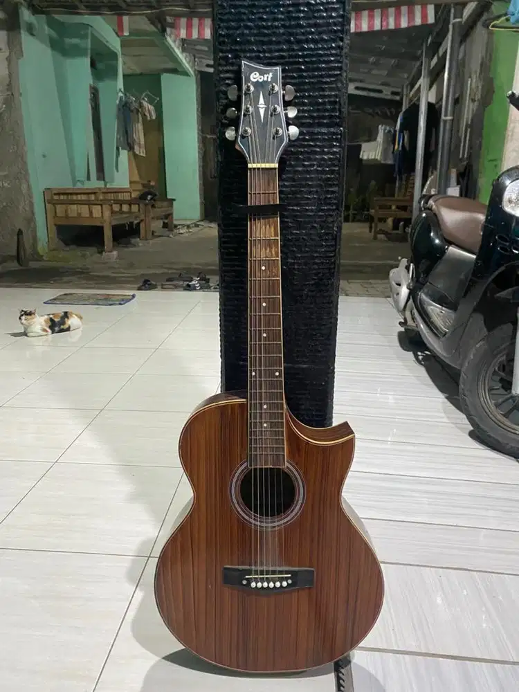 GITAR CORT UDAH TANEM BESI